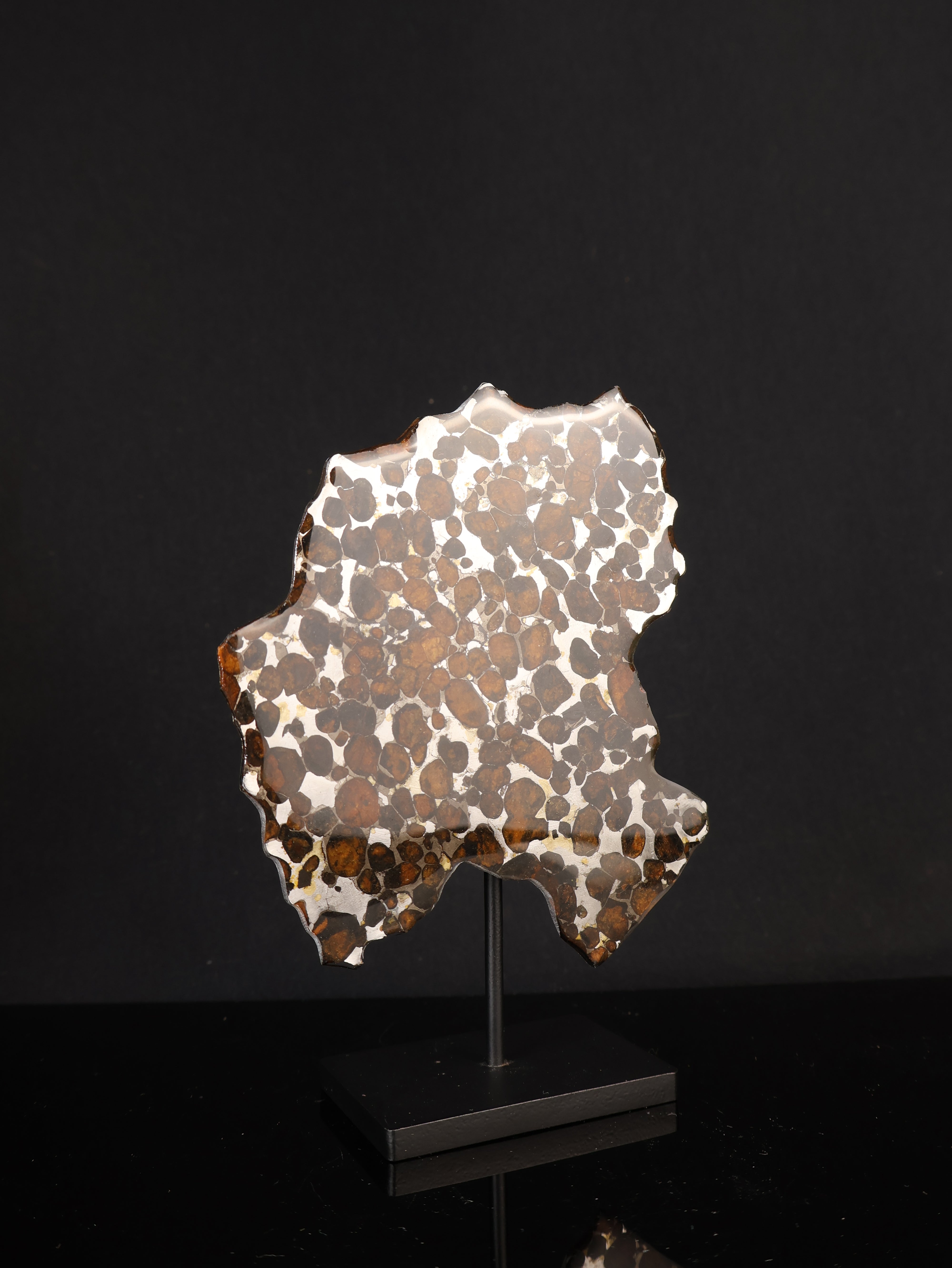 SERICHO METEORITE, KENYA. 53,5 GRAMS SLICE