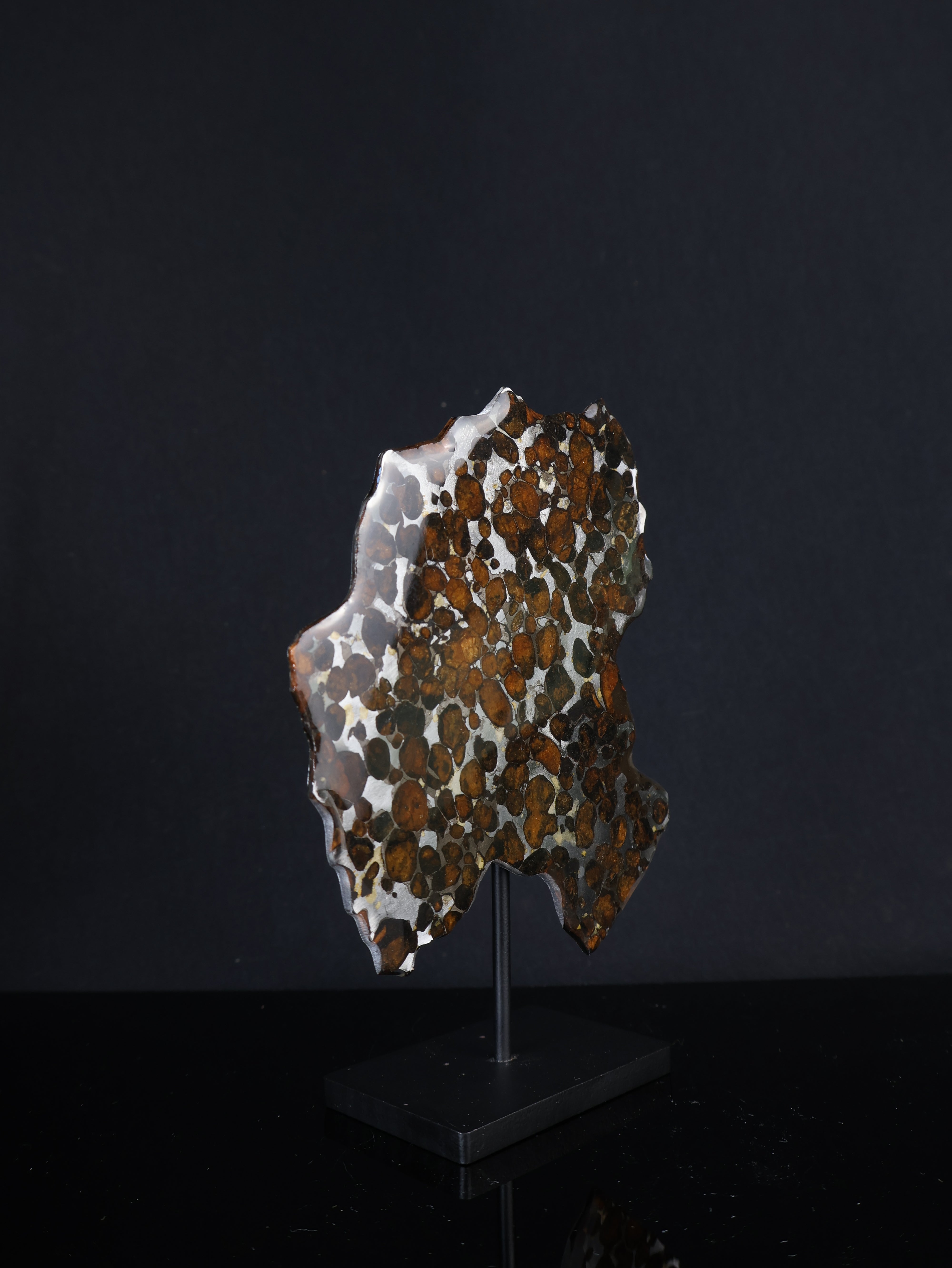 SERICHO METEORITE, KENYA. 53,5 GRAMS SLICE