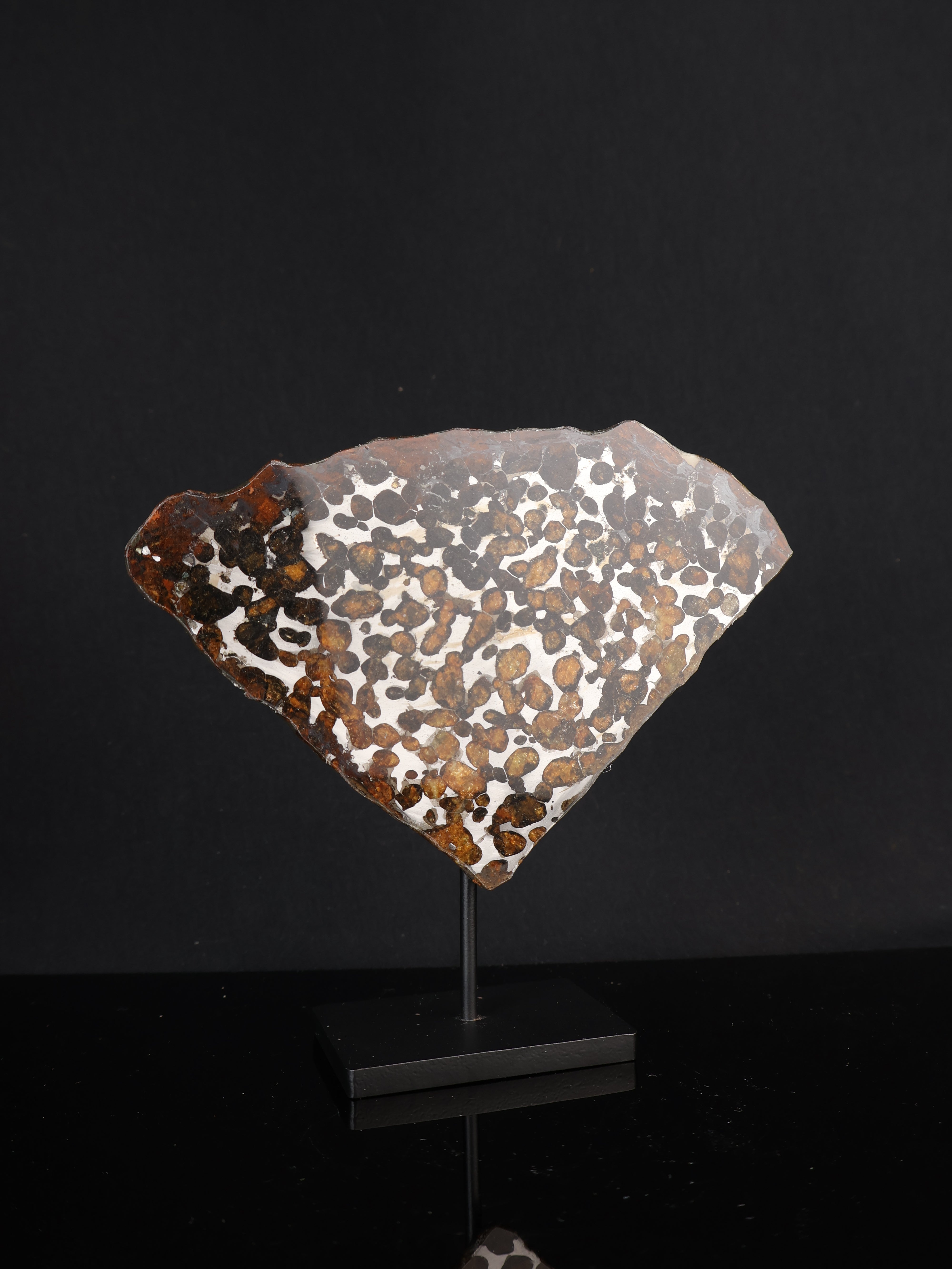 SERICHO METEORITE, KENYA. 68,7 GRAMS SLICE