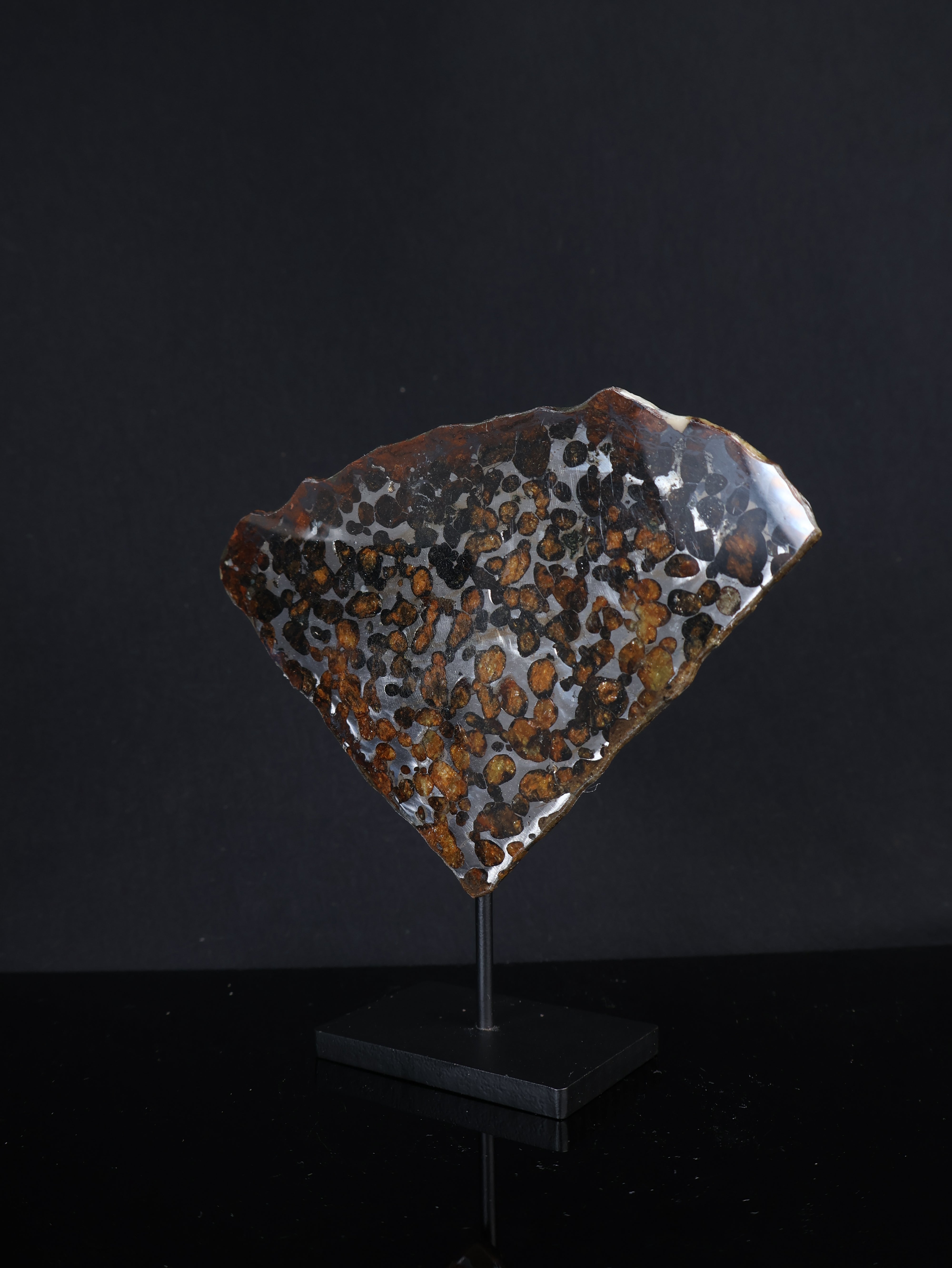 SERICHO METEORITE, KENYA. 68,7 GRAMS SLICE