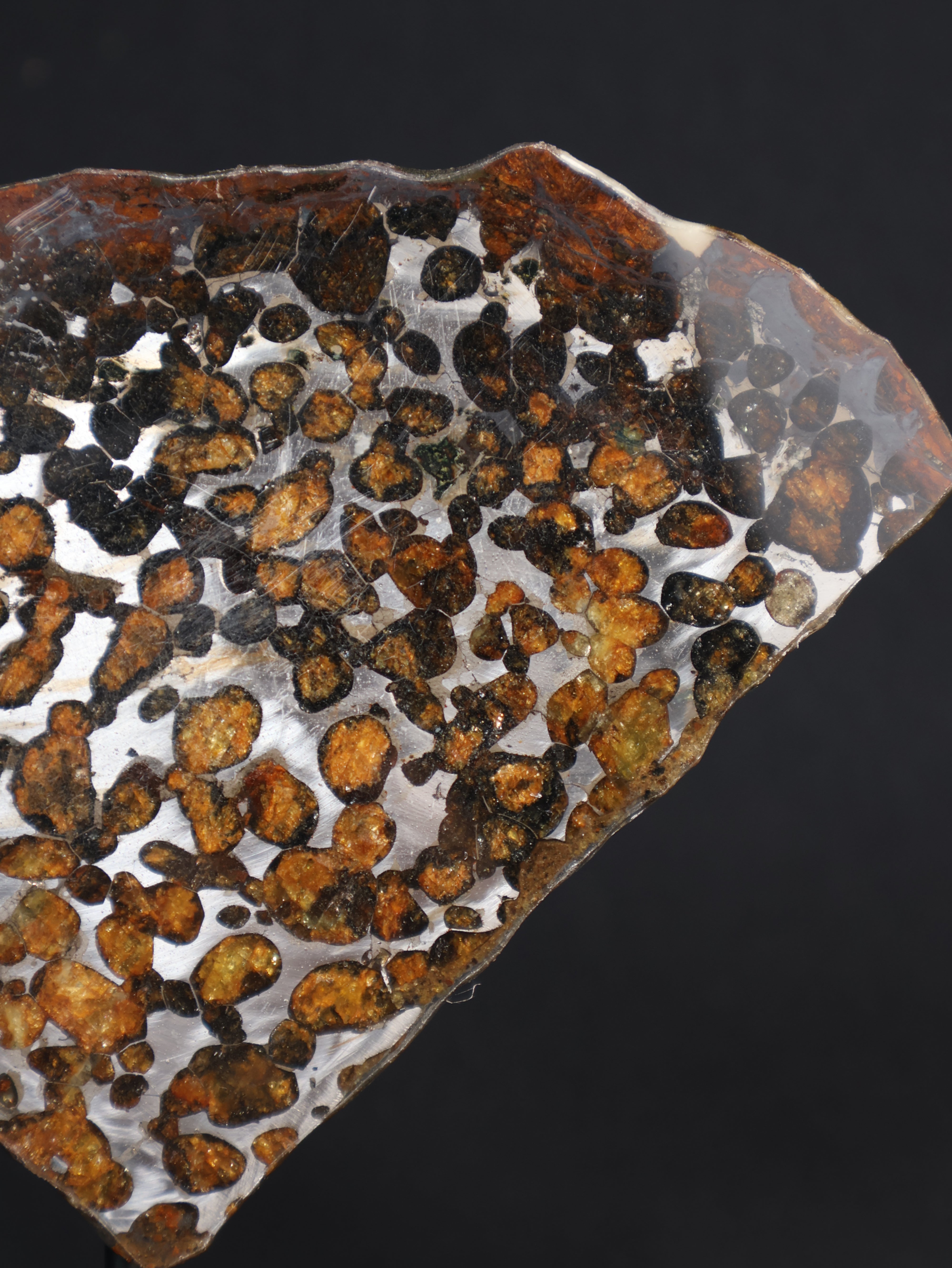 SERICHO METEORITE, KENYA. 68,7 GRAMS SLICE