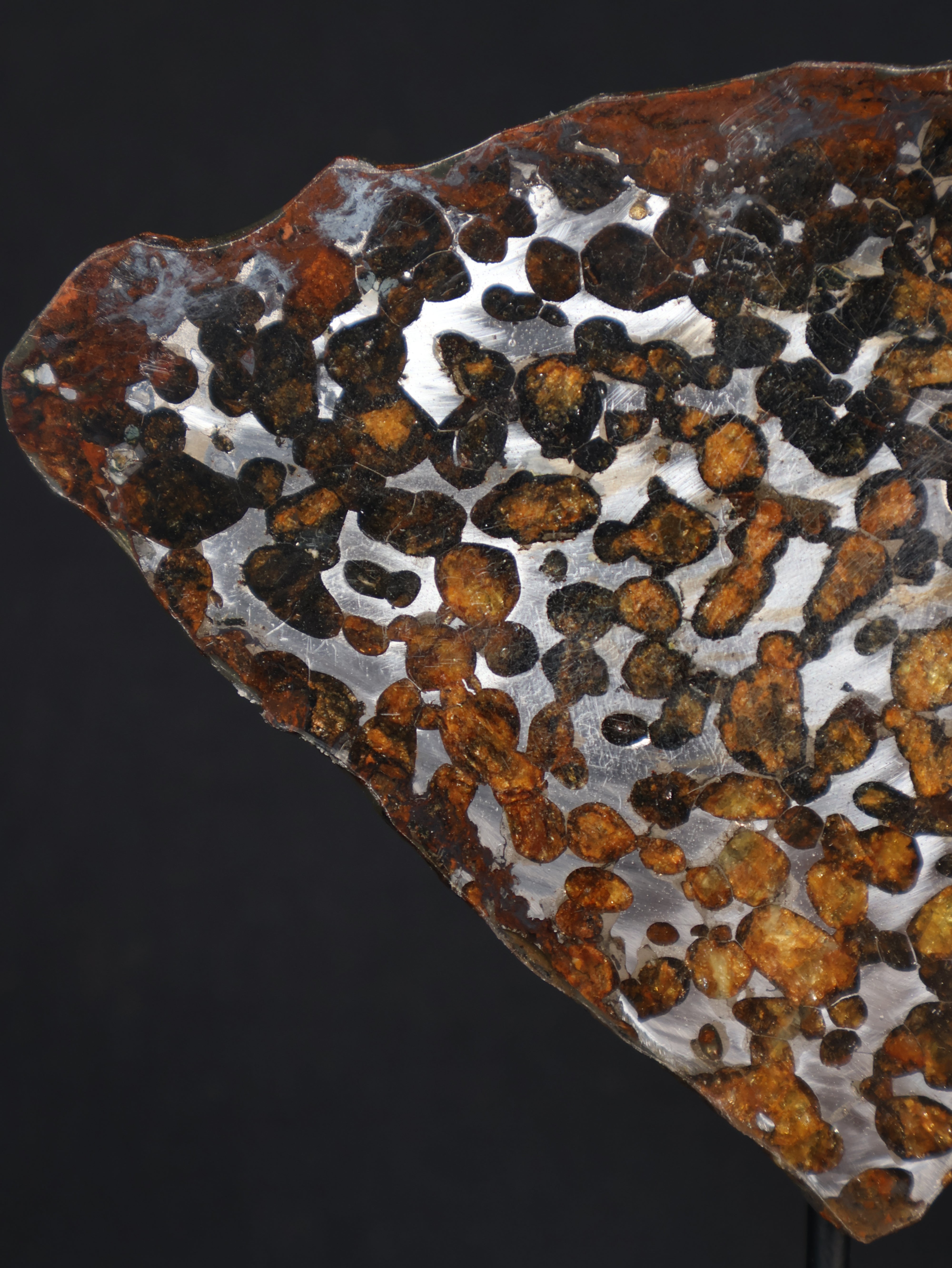 SERICHO METEORITE, KENYA. 68,7 GRAMS SLICE