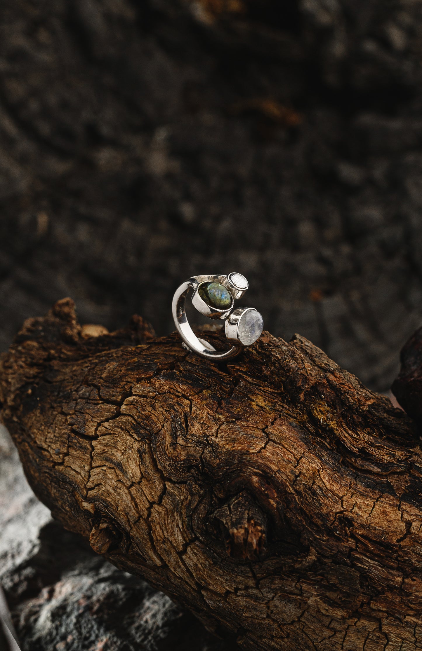 Ring Universe, with Muonionalusta meteorite and natural stones