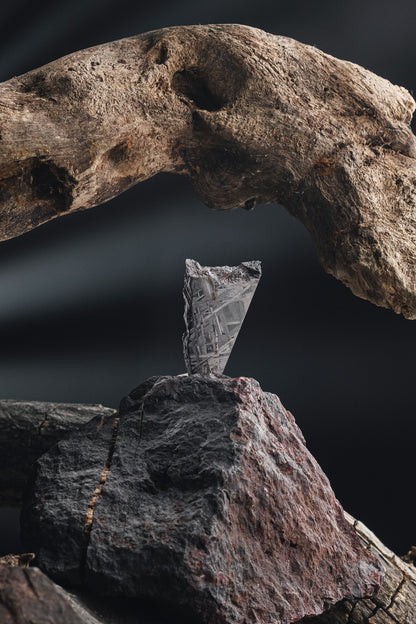 Muonionalusta meteorite slice 30.16g