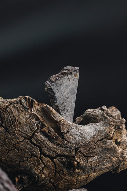 Muonionalusta meteorite slice 47.42g
