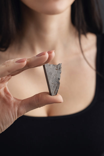Muonionalusta meteorite slice 30.16g