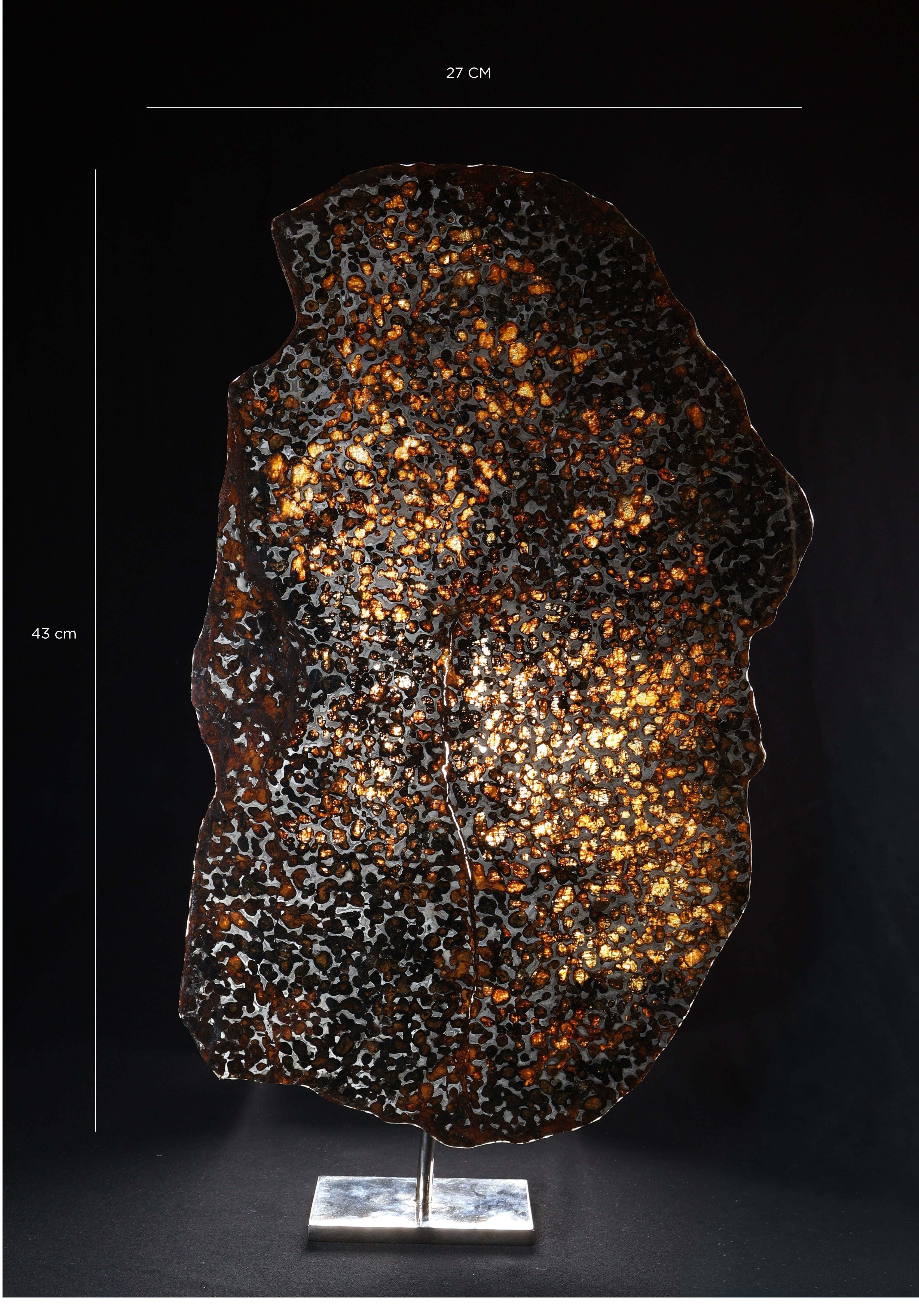 Sericho Meteorite slice from Kenya, 550 g