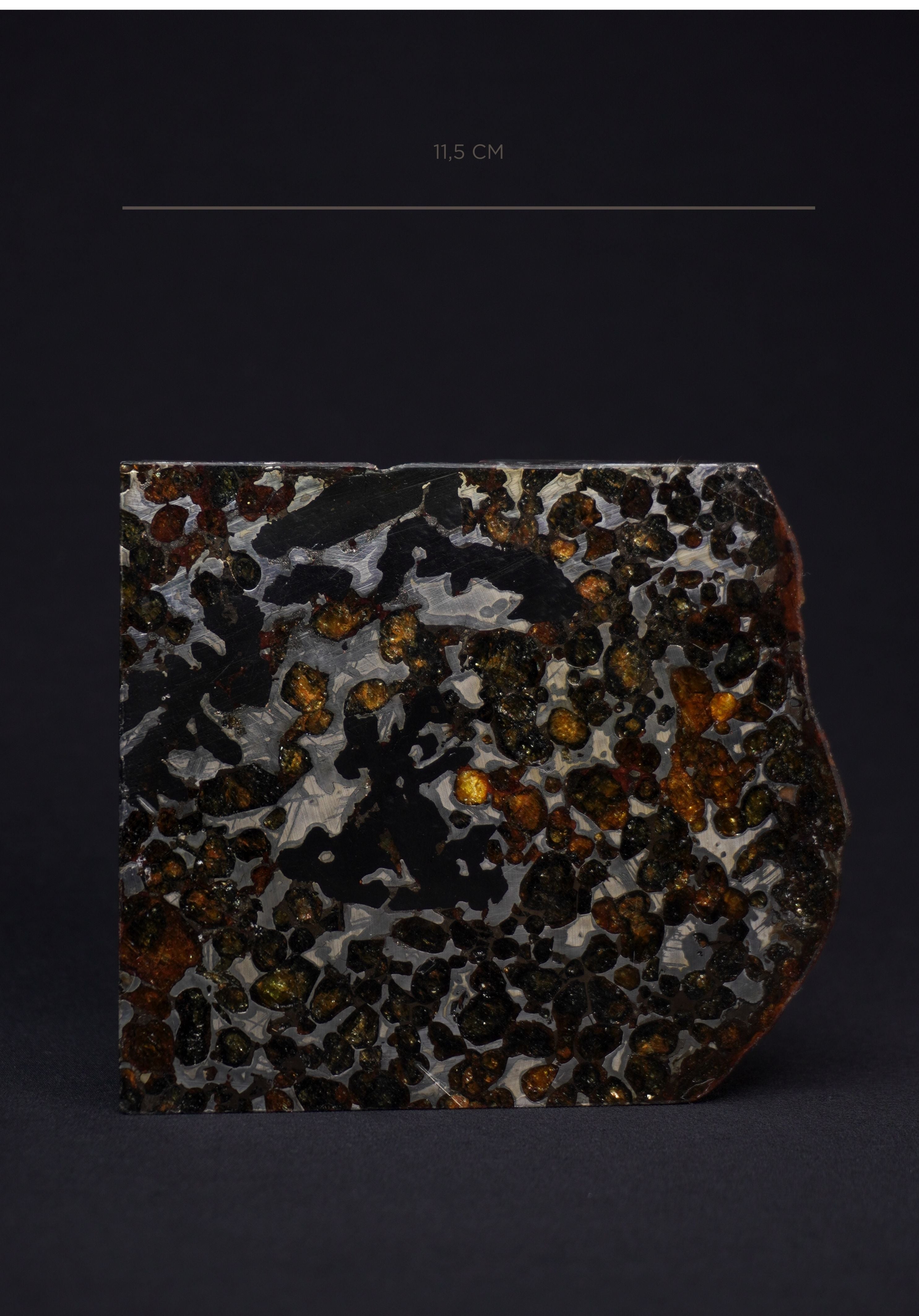 Sericho pallasite meteorite, Kenya. 836 grams end-cut.