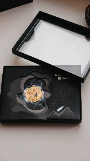Muonionalusta meteorite coin in frame