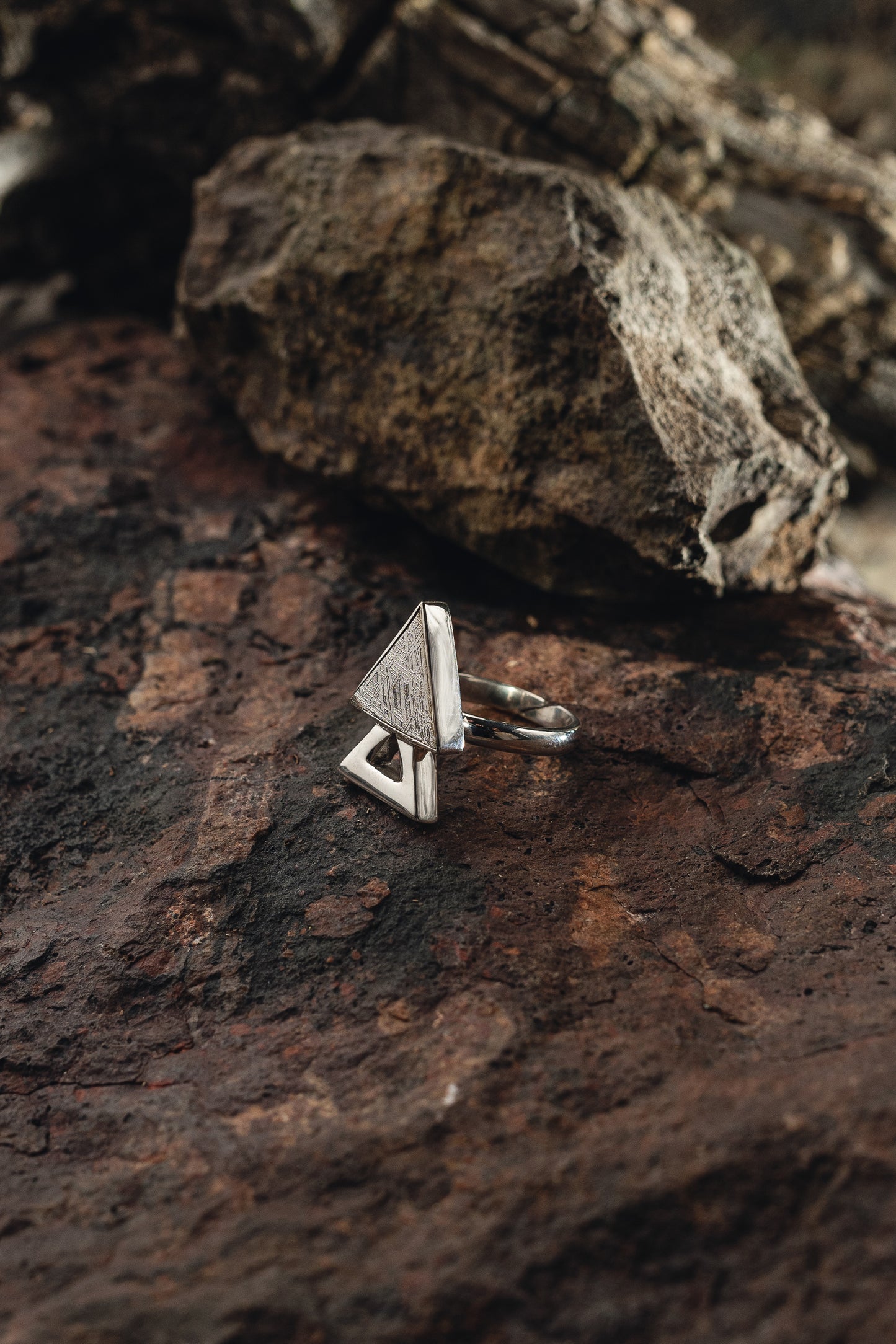 Geometric Ring of Muonionalusta Meteorite