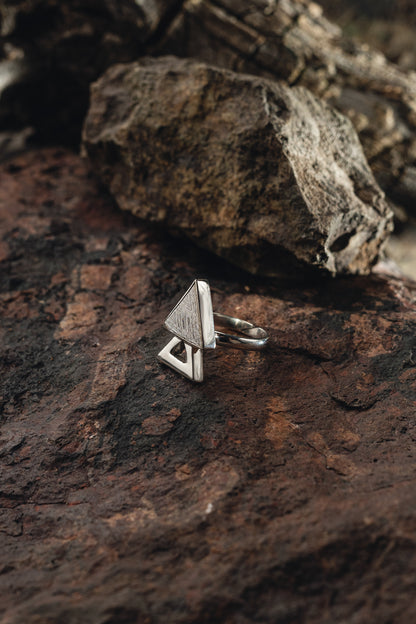 Geometric Ring of Muonionalusta Meteorite