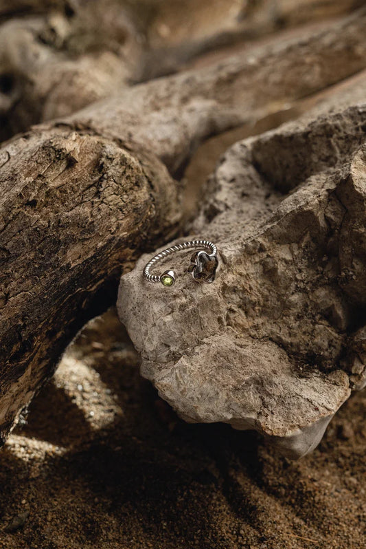 Meteorite Rings – Meteorite Jewelry