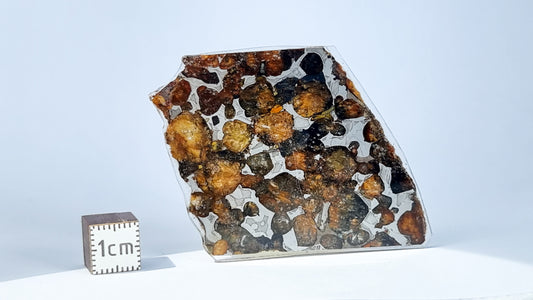 Sericho Pallasite meteorite, Kenya. 11.22g slice