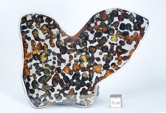 Sericho Pallasite meteorite, Kenya. Slice 67.25g