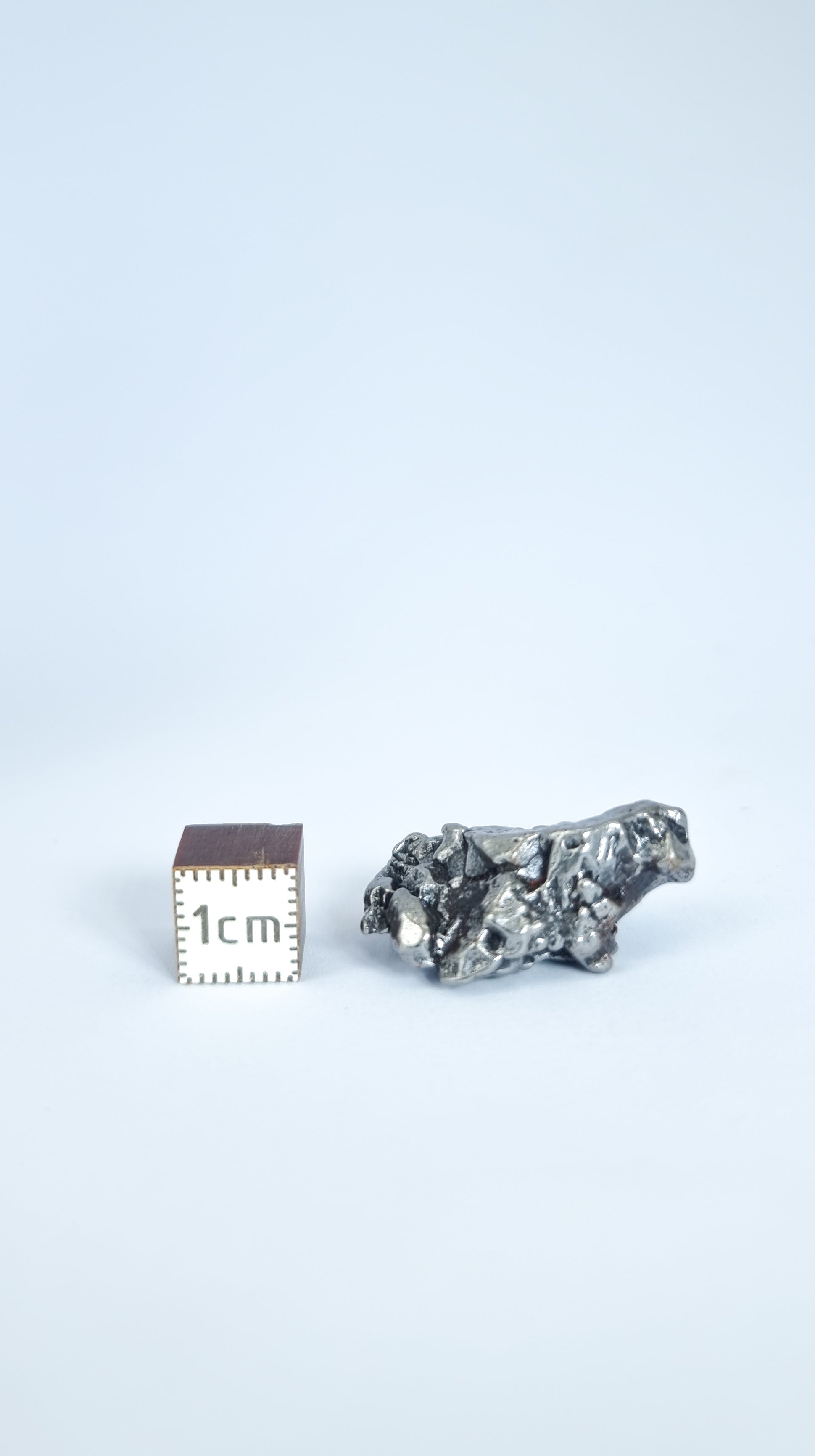 Campo del Cielo meteorite, South America. 52.60g lot