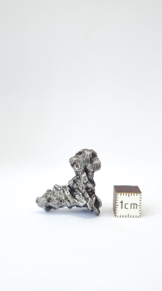 Campo del Cielo meteorite, South America, 14.83g