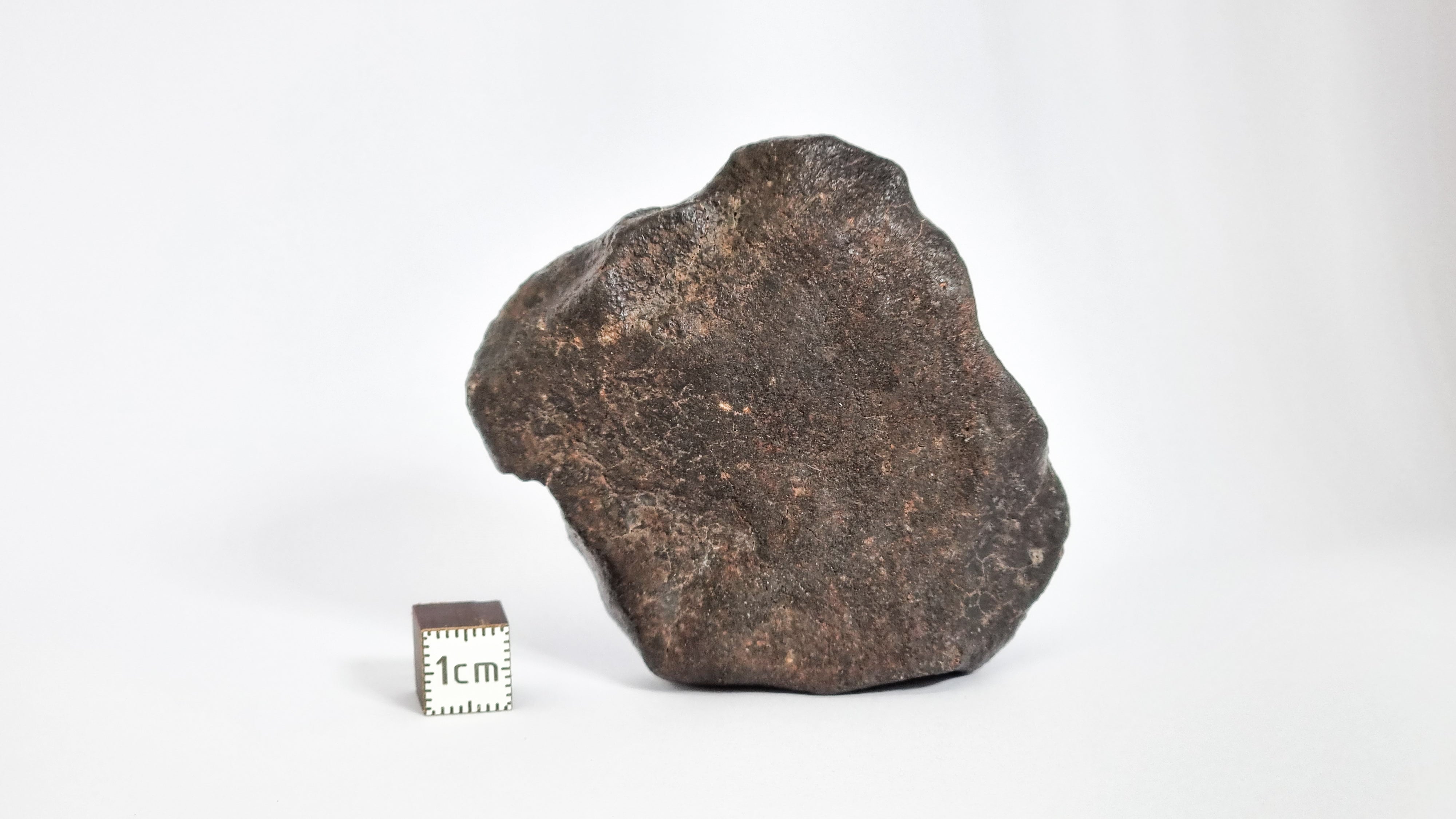 Chondrite Meteorite, North West Africa. 153.66g