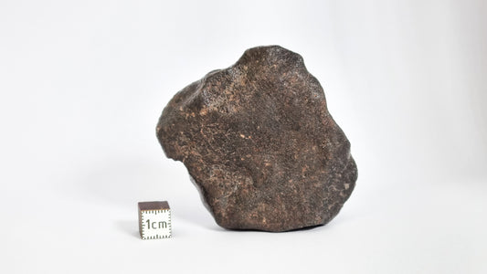 Chondrite Meteorite, North West Africa. 153.66g