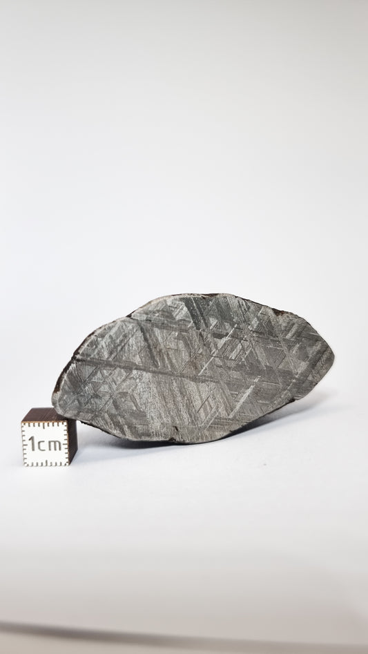 Muonionalusta meteorite, Sweden. End Cut 299 grams.