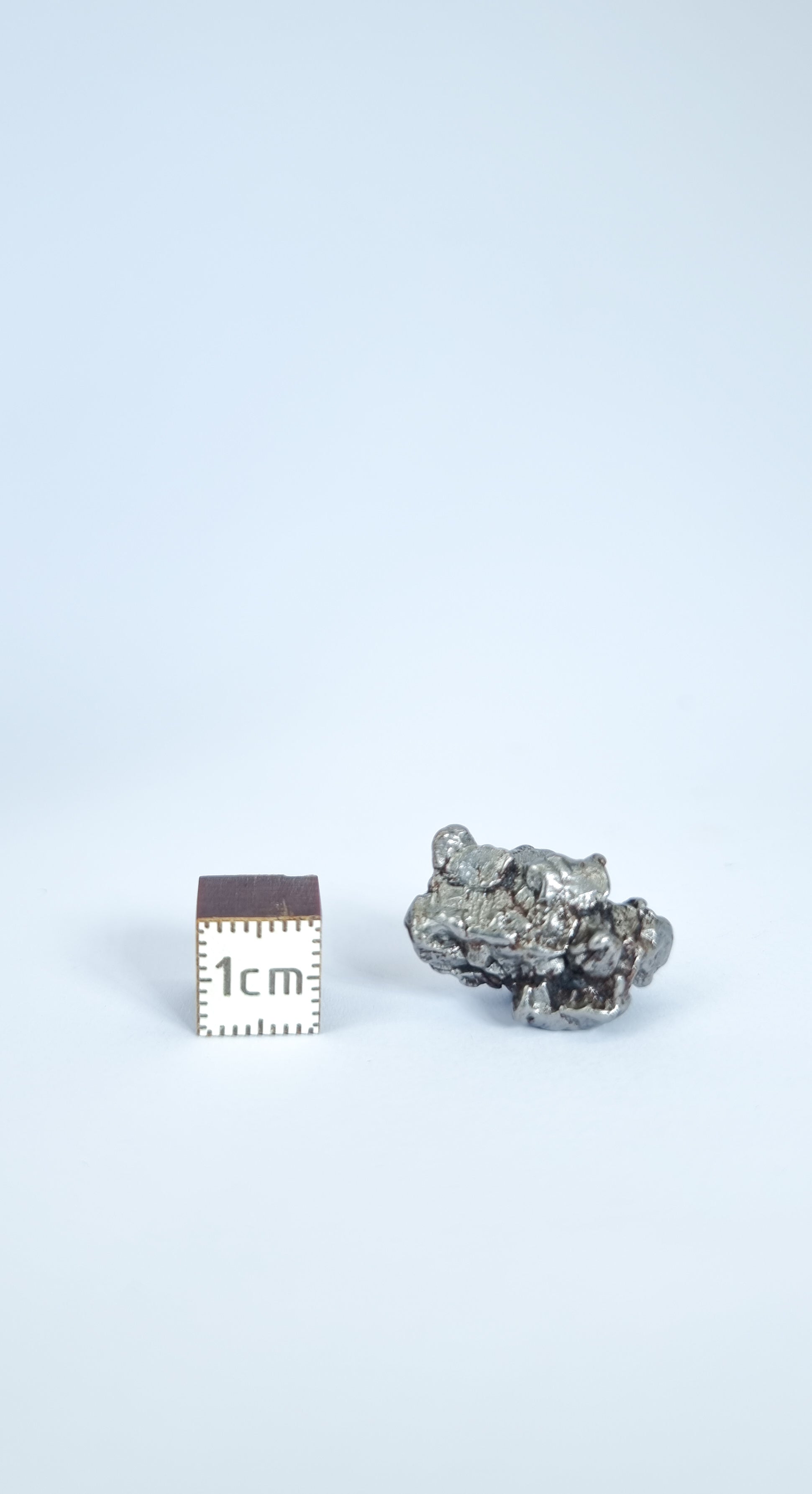 Campo del Cielo meteorite, South America. 52.60g lot