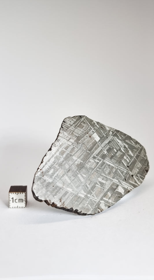 Muonionalusta meteorite, Sweden. Slice 80.55g