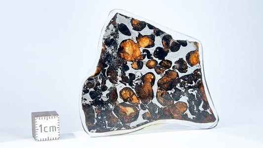 Sericho Pallasite meteorite, Kenya. 10.40g slice