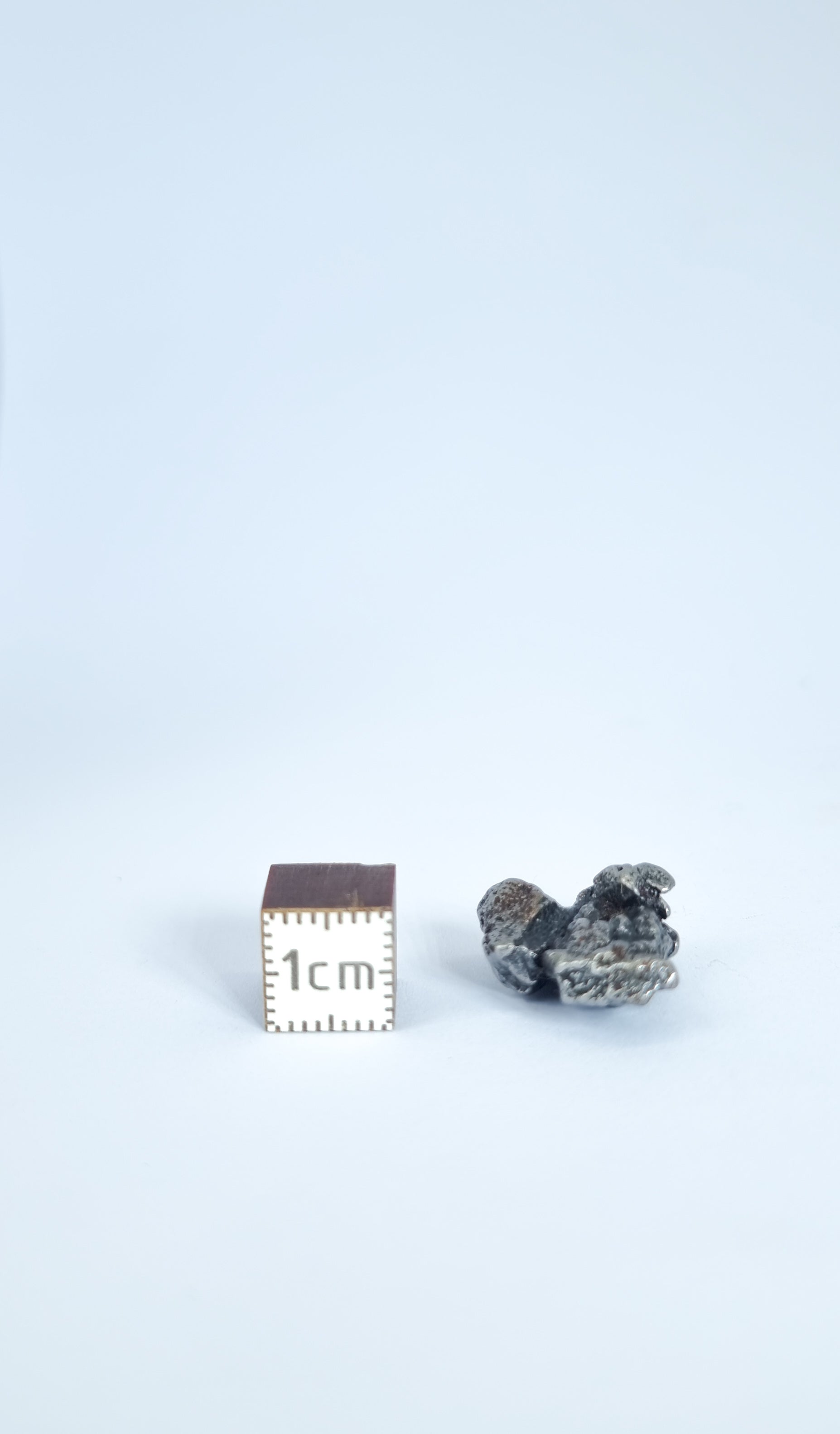 Campo del Cielo meteorite, South America. 52.60g lot