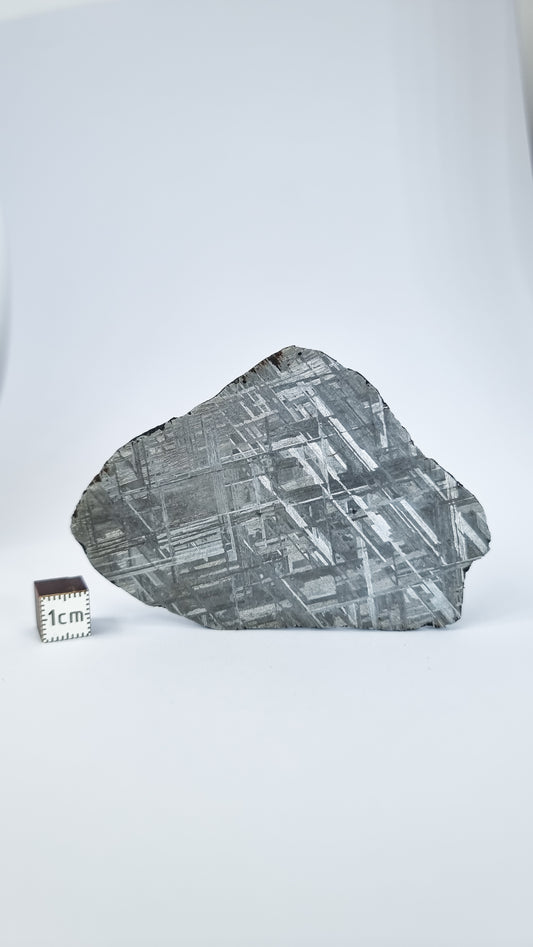 Muonionalusta meteorite, Sweden. 74,17g slice.