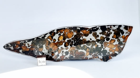 Sericho Pallasite meteorite, Kenya. 33.50g slice